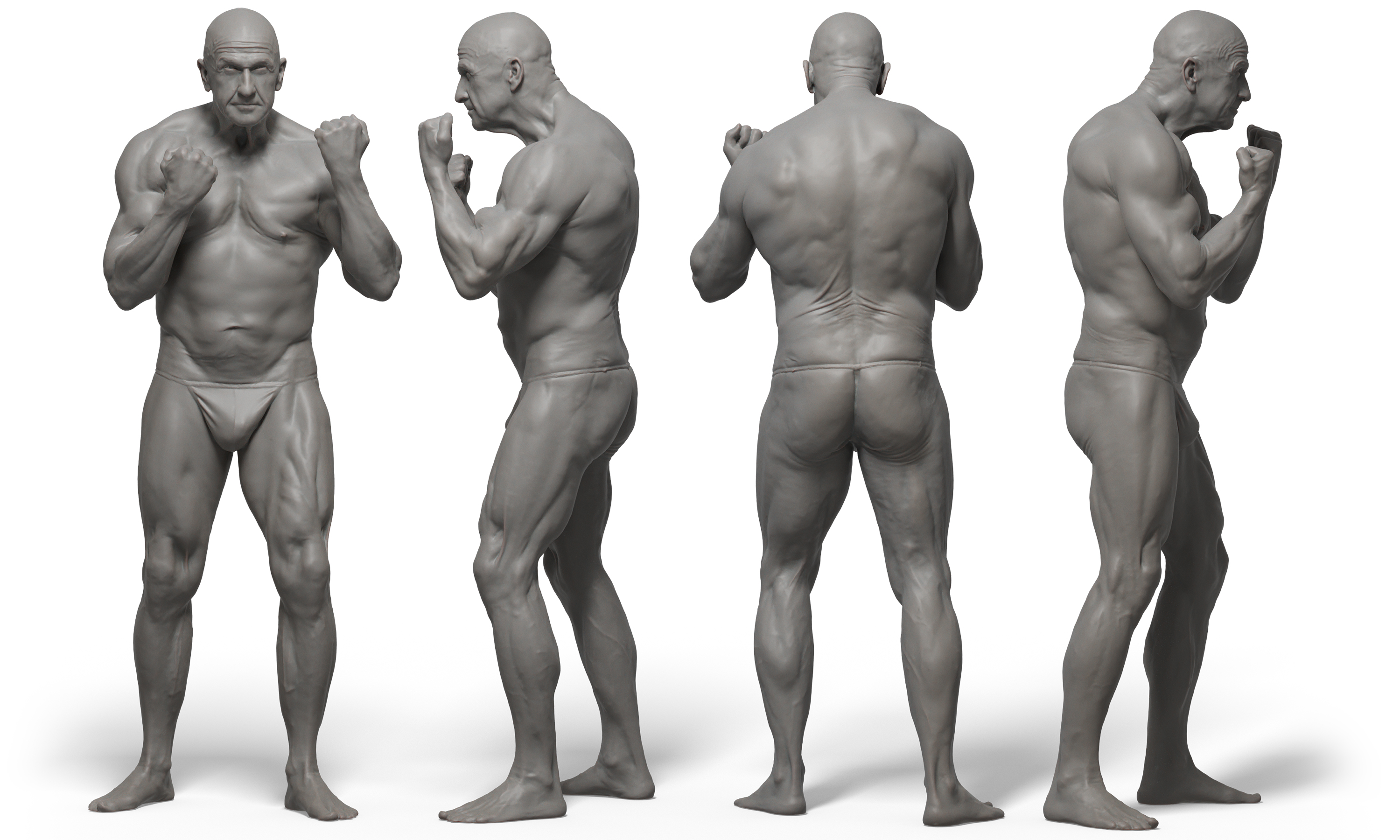 3D male anatomy reference 3d model download